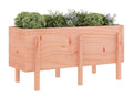 Dekonao solid wood raised garden bed 121x50x57 cm WMQM33491