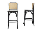 Set of 2 solid mahogany and black cane bar stools TJSN46224