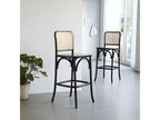 Set of 2 solid mahogany and black cane bar stools TJSN46224