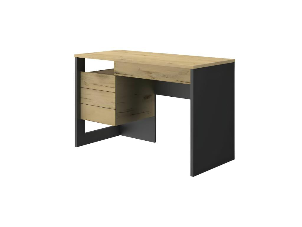 Desk with 1 door and 1 drawer, Wood/Black - Nobellea TSDD10395