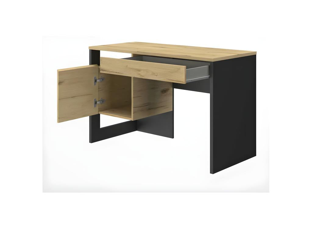 Desk with 1 door and 1 drawer, Wood/Black - Nobellea TSDD10395