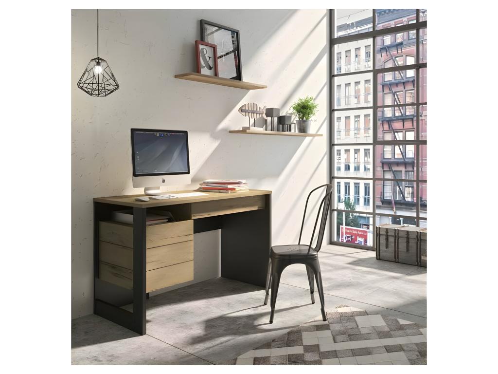 Desk with 1 door and 1 drawer, Wood/Black - Nobellea TSDD10395